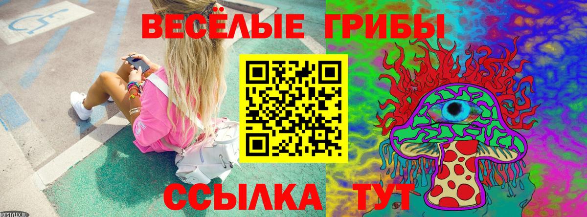Галлюциногенные грибы мухоморы Карталы